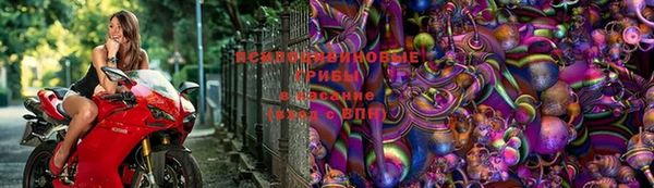 jwh Абаза