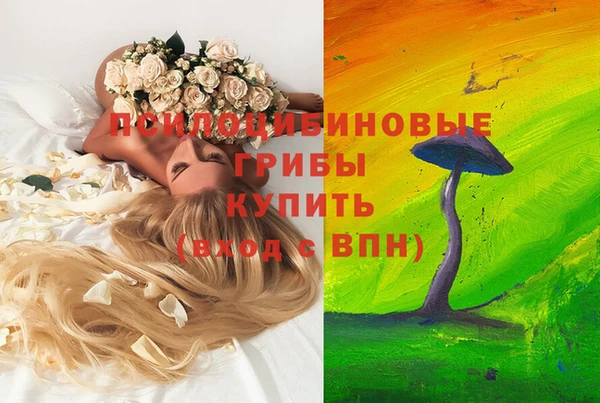 мет Алексеевка