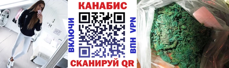как найти   Пойковский  Каннабис гибрид 